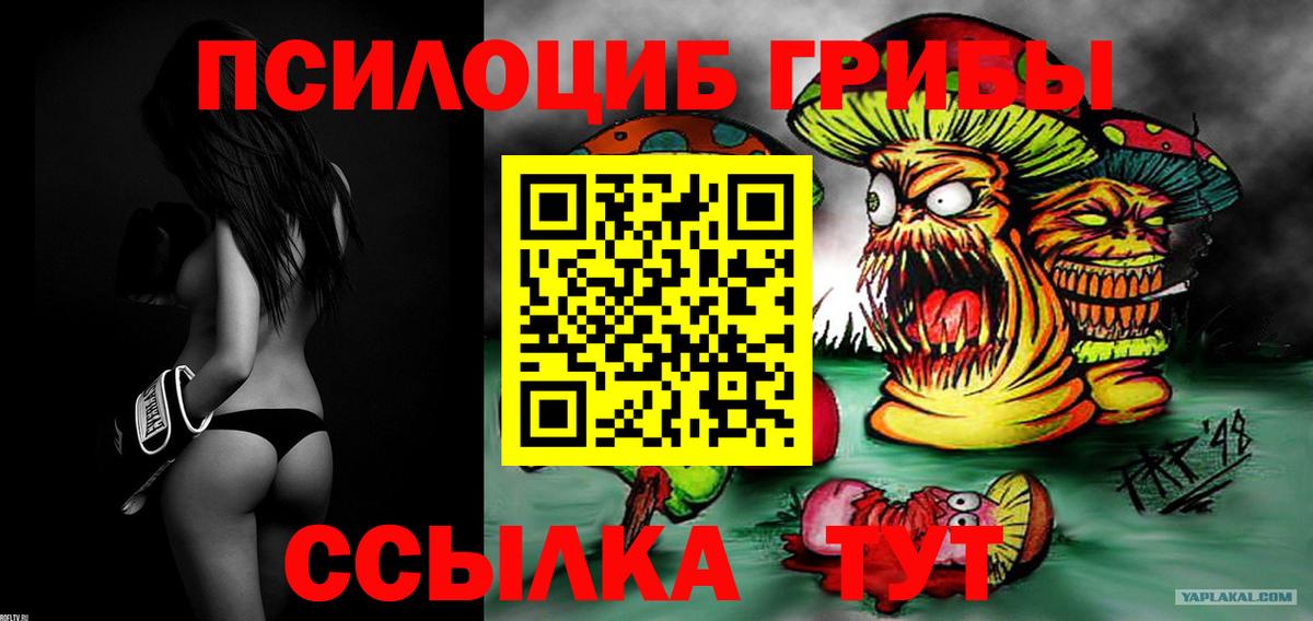 Галлюциногенные грибы GOLDEN TEACHER Наро-Фоминск